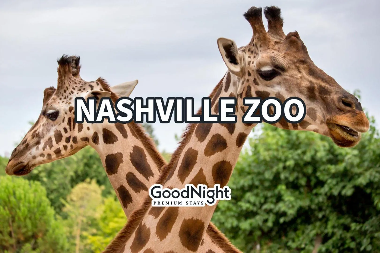 Starling - Sleeps 8 - Mins To Nashville Zoo Holiday home